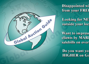 Global Auction Guide